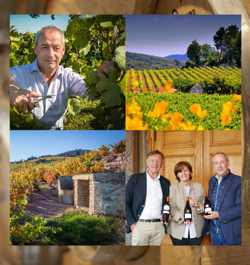 Maison Lorgeril & Domaines Albert Bichot: A Winery Tour