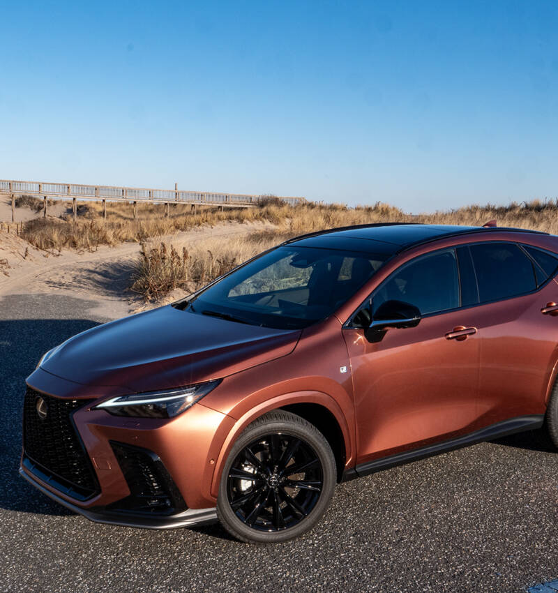 2025 Lexus NX In Copper Crest